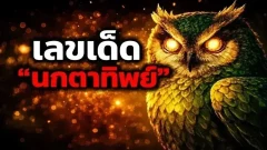 แนวทางเลขเด็ด "นกตาทิพย์" งวด 1 พฤศจิกายน 2569 บินมาให้โชคแล้ว!