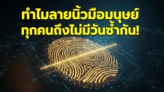ทำไมลายนิ้วมือมนุษย์ทุกคนถึงไม่มีวันซ้ำกัน!