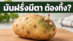 มันฝรั่งเริ่มงอก ยังทำกับข้าวได้อยู่ไหม?