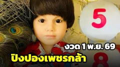 ปิงปองเพชรกล้า น้องนำโชค งวด 1 พ.ย. 69 เปิดเลขลูกบอลเด่น พร้อมชุด 2 ตัวจากงวดที่ 176