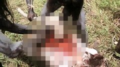 เปรตเดินดินกินเนื้อคน กับ เบื้องหลังหนังที่คนทั้งโลก เชื่อว่าเป็นเรื่องจริง