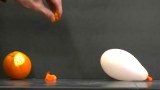 เฮ้ย..จริงดิ ไม่อยากเชื่อ!? เมื่อนำเปลือกส้ม มาบีบน้ำใส่ใกล้ๆลูกโป่ง ผลลัพท์ที่ได้เห็น ชวนให้งงกันไปใหญ่ มันเกิดแบบนี้ขึ้นได้ไง (ชมคลิป)