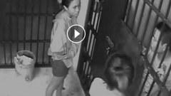 มีคลิป หญิงสาว มาเยี่ยมผู้ต้องขังชาย สิบเวรเปิดประตูให้ ฉวยโอกาสหลบหนี