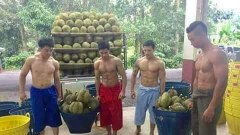 สุดซี๊ด!!! หนุ่มๆ เซ็กซี่ท่าฉีกทุเรียน อุ้ย...ขายทุเรียนครับ