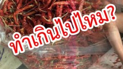 ดราม่าเป็นสองทีม!! เมียหลวงหิ้วพริกยัดใส่..เมียน้อย ชาวเน็ตถก ทำเกินไปไหม?