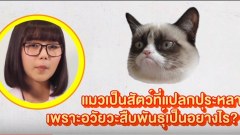 เพศศึกษาของสัตว์โลก กับหนัง 15 บวกไอคิวกระฉูด