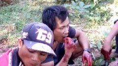 กินกันสดๆ ไม่ปรุงสุกกันเลยทีเดียว... หรือว่าพวกคุณเป็นปอป??