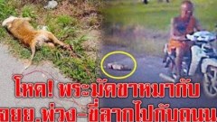 วิจารณ์ยับ!! พระซาดิสท์? #มัดหมา_ลากไปกับถนน ❗ 😭