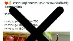 เตือน!! โพสต์ซื้อขายอสุจิ ไข่หรือตัวอ่อน ผิดกฎหมาย