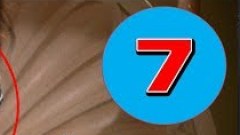 7 ความจริงทางประวัติศาสตร์ ซึ่งต่างจากสิ่งที่เราเคยเรียนกันมาเลย! ห้ามพลาด!!!