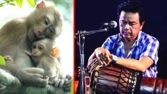 พงษ์เทพ กระโดนชำนาญ เล่าเรื่องจากปลายกระบอกปืนยิง ลิงทะโมน ที่รักลูกสุดชีวิต เหตุการณ์ล่าสัตว์ที่ฝังลึกในใจ