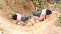 รวมรูปขำขัน ผ่อนคลายสมอง