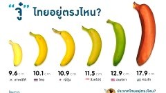 ขนาดอวัยวะเพศชาย สำคัญอย่างไร