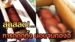 สลด! ทารกถูกทิ้ง นอนเปลือยกาย จมกองอึในลังกระดาษ ถูกวางไว้ศาลาข้างทาง โชคดี พนง.กฟผ.มาพบ