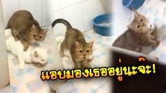แอบเลา'ไมมนุด.. ออกไปนะ...เลาอาย..