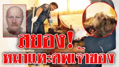 สยอง! สื่อนอกตีข่าว "หมาแทะกินศพเจ้าของ" หลังตายคาบ้านพักพัทยาหลายวัน คาดนอนเฝ้าศพจนหิวโซ
