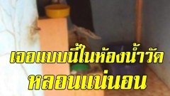 แนวคิดเด็ด ป้องกันคนแอบหลับในห้องน้ำ หลวงพี่เลยจัดให้