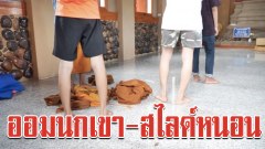 จับสึกเจ้าอาวาสฉาว หลอกเณรน้อยบวชได้ 8 วัน เข้ากุฏิขออมนกเขา-สไลด์หนอน