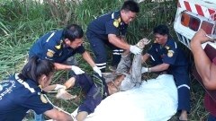 สลด..10ล้อแหกโค้งชนคนปั่นจักรยานดับ