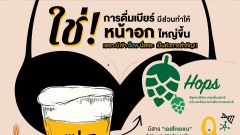”เบียร์” มีตัวกระตุ้นฮอร์โมนเอสโตรเจน ทำให้หน้าอกสาวๆใหญ่ขึ้นจริงหรอ !!!