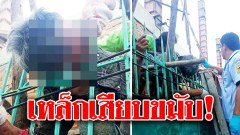 หนุ่มใหญ่พลาด..พลัดจากที่สูง เหล็กรั้วเสียบขมับ