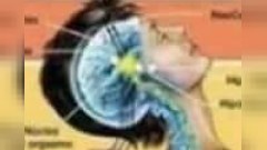 วันนี้คุณมีเซ็กส์แล้วหรือยัง??