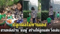 สวนสร้างโดย ‘คุณแม่วารี’ ให้หลานวิ่งเล่น-พร้อมปลูกผลไม้ทานเอง