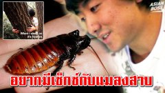 ชายผู้คลั่งไคล้แมลงเผย "แอบกิ๊กกับแมลงสาบ" ถึงขั้นอยากมีเพศสัมพันธุ์ด้วย!!