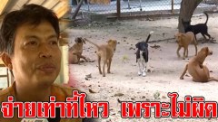 เจ้าของหมา รุมขย้ำเด็ก โต้ไม่ผิด ฉะแม่ไม่ดูลูกให้ดี จ่ายได้เท่าที่ไหว (คลิป)