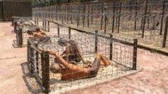 Phu Quoc Prison ฟูก๊วก คุกนรกแห่งญวนใต้