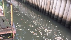 กทม.ตรวจสอบโรงแรมย่านจรัญฯ หลังมีภาพถุงยางลอยเกลื่อนคลอง