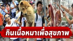 ผู้นำเกาหลีใต้ วอนหยุดความเชื่อ "กินเนื้อสุนัขเพื่อสุขภาพ" พร้อมเปิดตัว เจ้าตูบหมายเลข1 แห่งโสมใต้ ผู้รอดชีวิตจากฟาร์มเนื้อหมา