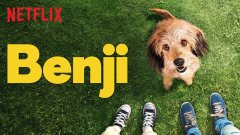 รีวิวหนัง netflix สนุกๆที่ไม่ควรพลาด