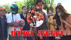 หนุ่มวัย 32 ลวงสาวใหญ่ฆ่าโหด หมกป่าอ้อย สลดสุนัขกินร่างไม่เหลือ