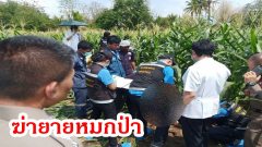 โหดเหี้ยม เด็กวัย 16 ฆ่าทุบหัว-ปาดคอยายวัย 78 ปี ศพเปลือยหมกป่าหลังบ้าน