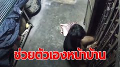 สุดทน! กฎหมายทำอะไรไม่ได้ สาวโพสต์ หนุ่มจรจัด 3-4 คน เวียนมาช่วยตัวเองหน้าบ้านเป็นประจำจนผวา