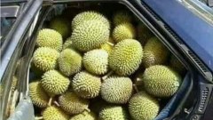 ร้อยเรื่องฮาๆไม่เกิน 8บรรทัด