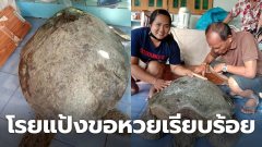 ชาวบ้านตะลึง!! พบเต่ายักษ์ มีขนาดใหญ่มาก โรยแป้งขอหวยเรียบร้อย