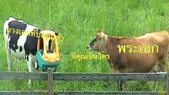 รวมภาพประโยคฮาๆ กับผู้ชายแก้คัน ก่อนนอน