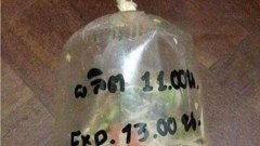 ภาพฮาๆ แก้เครียด ผู้ชายแก้คัน ยามเย็น