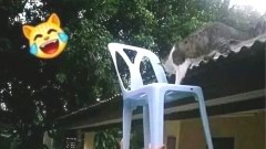 เฮฮา วันหยุด