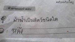 รวมภาพฮาๆ นอนหลับฝันดี