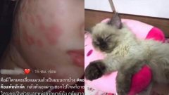 สาวเอาแมวมาเลี้ยง เลี้ยงไปเลี้ยงมา มีแผลเต็มตัว