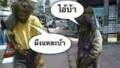 รวมภาพฮาๆ แก้เครียด อากาศร้อนๆ