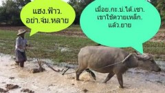 ภาพเฮฮา ตลกๆ แก้เครียด