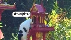 เฮฮา แก้เครียด ยามเย็น