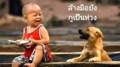 รวมภาพฮาๆ ตลกๆ หัวเราะลั่นเลย