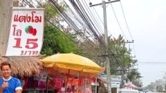 ร้านแตงโมธรรมดาๆ แต่คนแน่นร้าน แตงโมใหญ่มากๆ