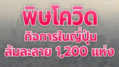 วันนี้กิจการญี่ปุ่น ล้มละลาย 1,200 แห่ง