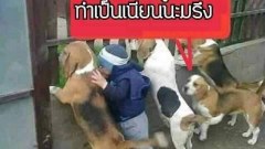 ภาพตลก ขำๆ ฮาๆ คลายเครียด ชวนหัวเราะ
